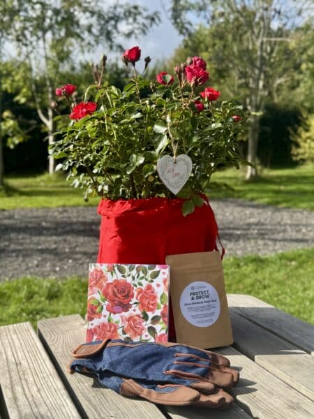 Personalised Happy Birthday Gift - English Roses - Image 3
