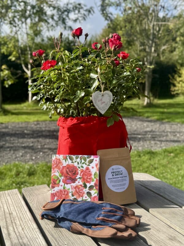 Personalised Happy Birthday Gift - English Roses
