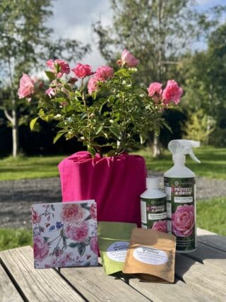 Personalised Happy Birthday Gift - English Roses