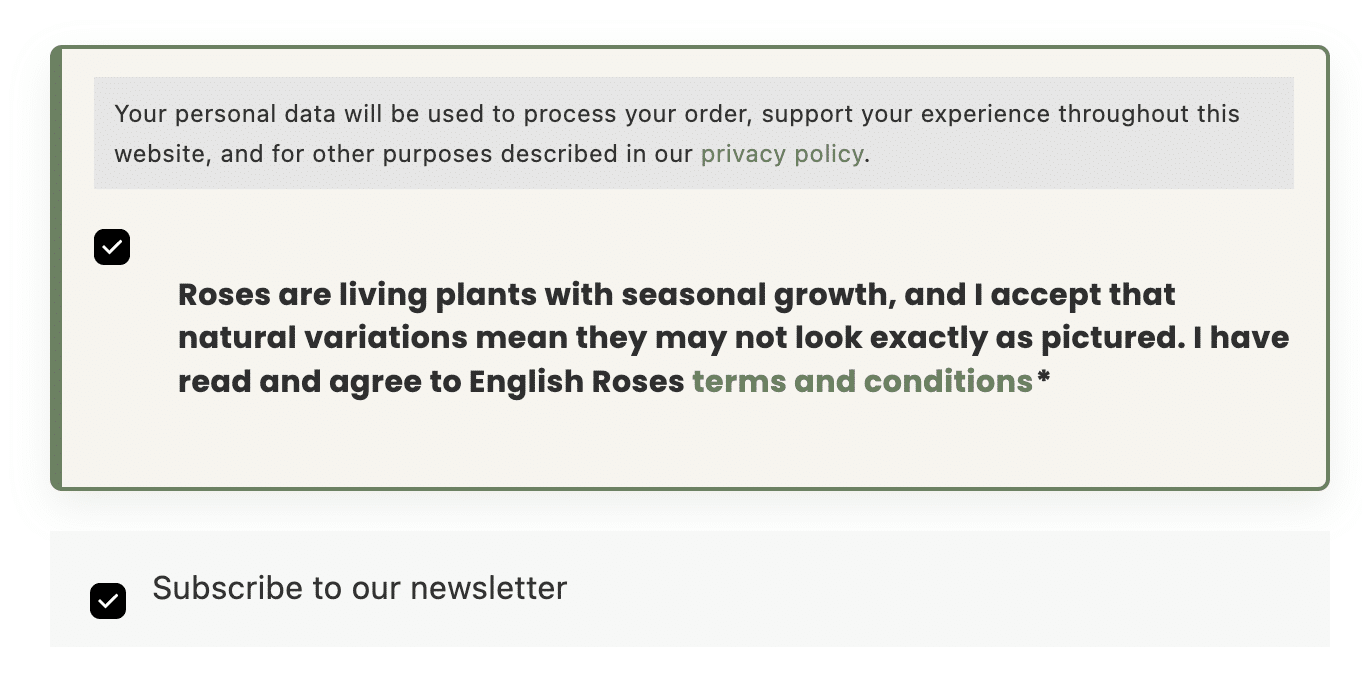 Terms and Conditions, and Newsletter sign up