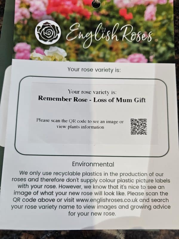 Pink Hit Rose - Loss of Mum Gift