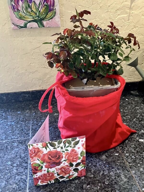 Red Cotton Drawstring Gift Bag