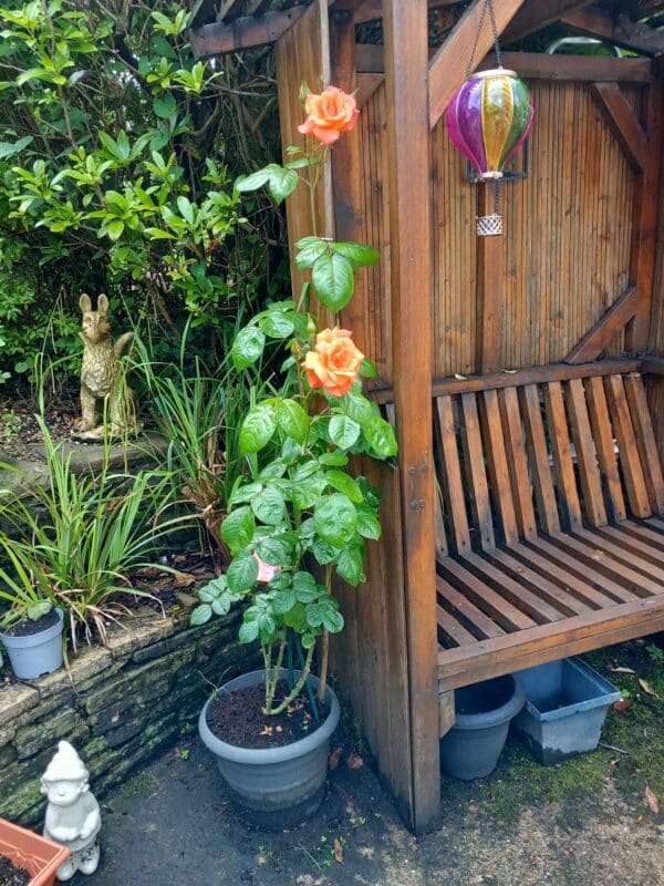 Scent From Heaven Rose - Memorial Remembrance Gifts