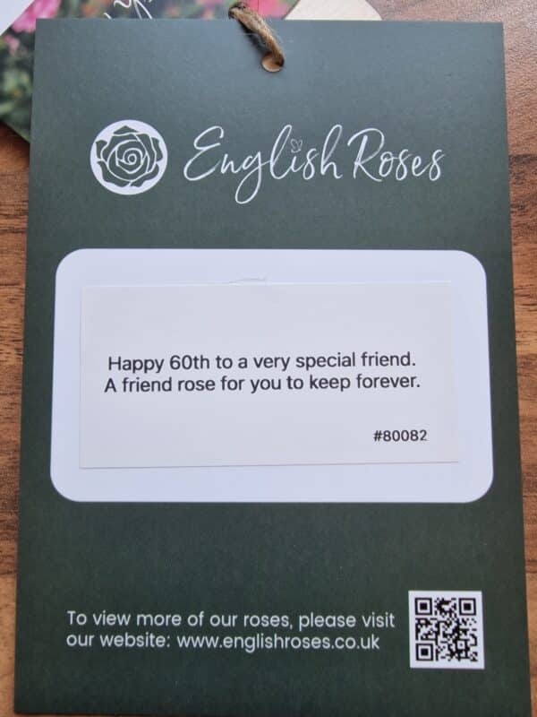 Friends Rose