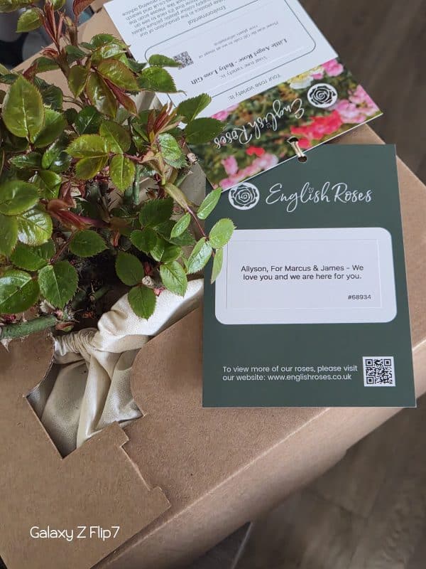 Little Angel Rose - Baby Loss Gift