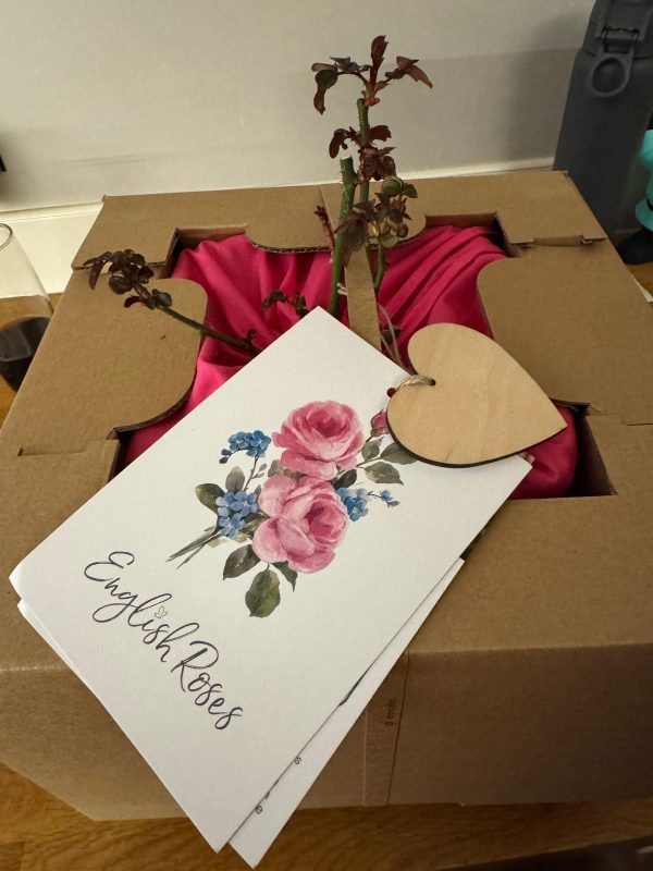 A Rose For Friends Forever