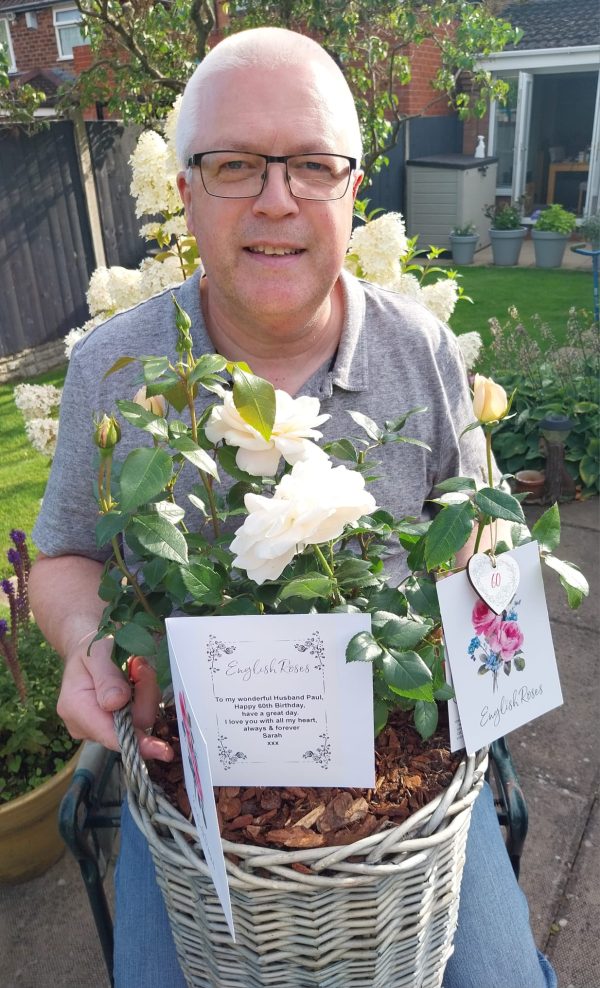 Champagne Moment Rose - 60th Birthday Rose