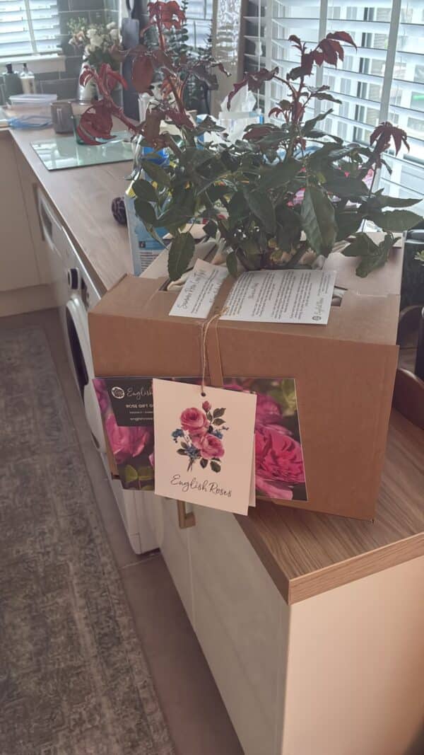 Loving Memory Gift