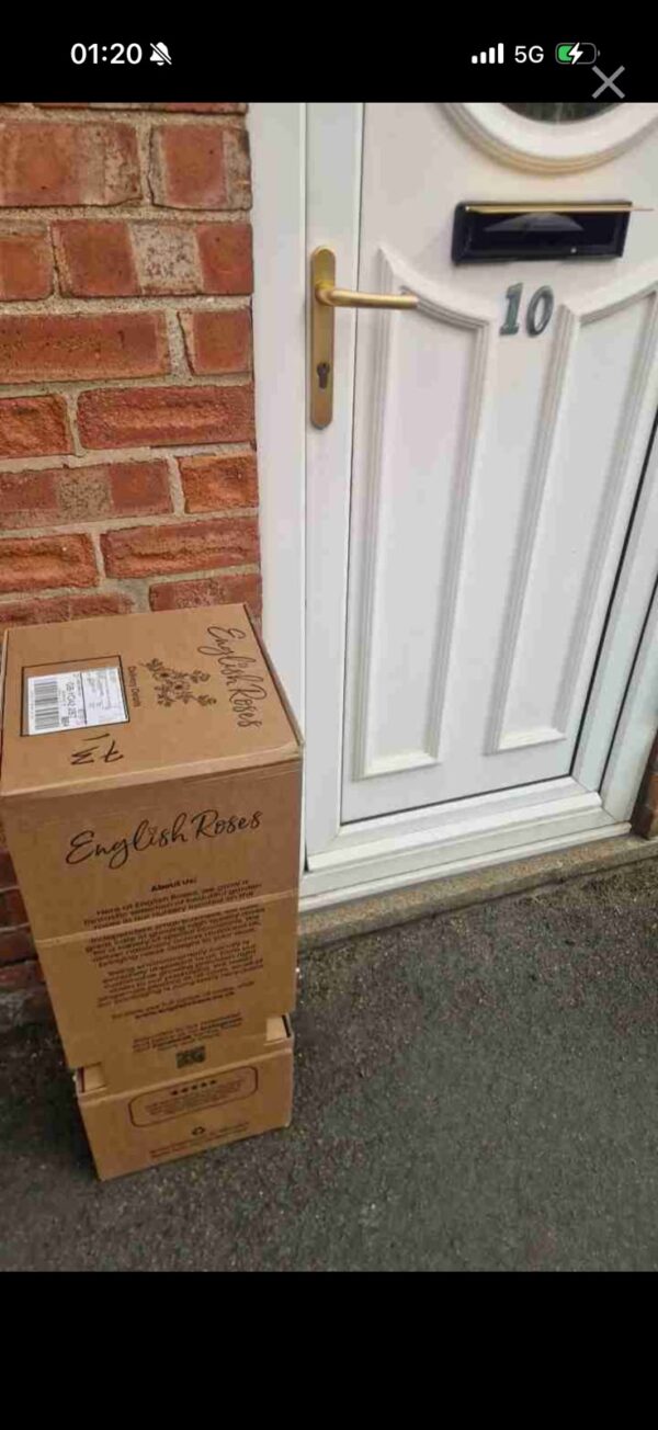 Fab @ 60 Rose - 60th Birthday Gift