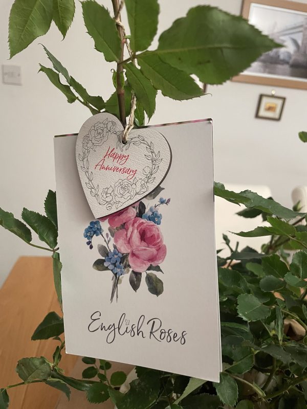 Eyes For You Rose - 60th Wedding Anniversary Gift