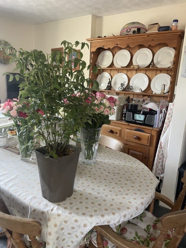 A Rose For My Wonderful Mum - English Roses Gift