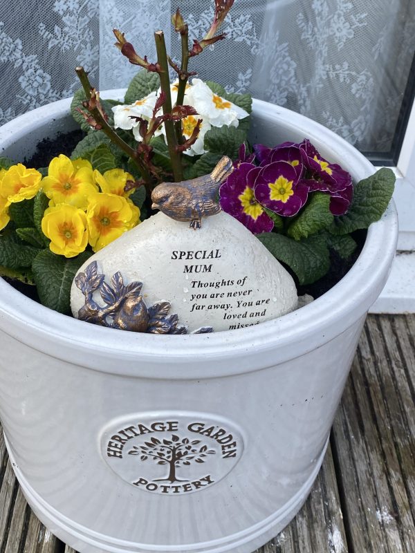 Warm Wishes Rose - Memorial Gifts for Loss of Mother