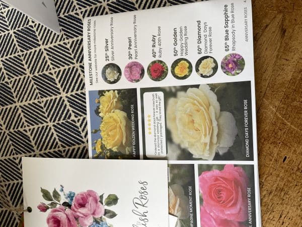 50th Anniversary Gifts - Golden Beauty Rose