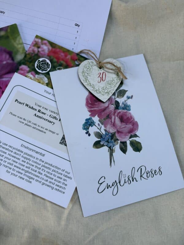 Pearl Wishes Rose - Gifts For A Pearl Anniversary