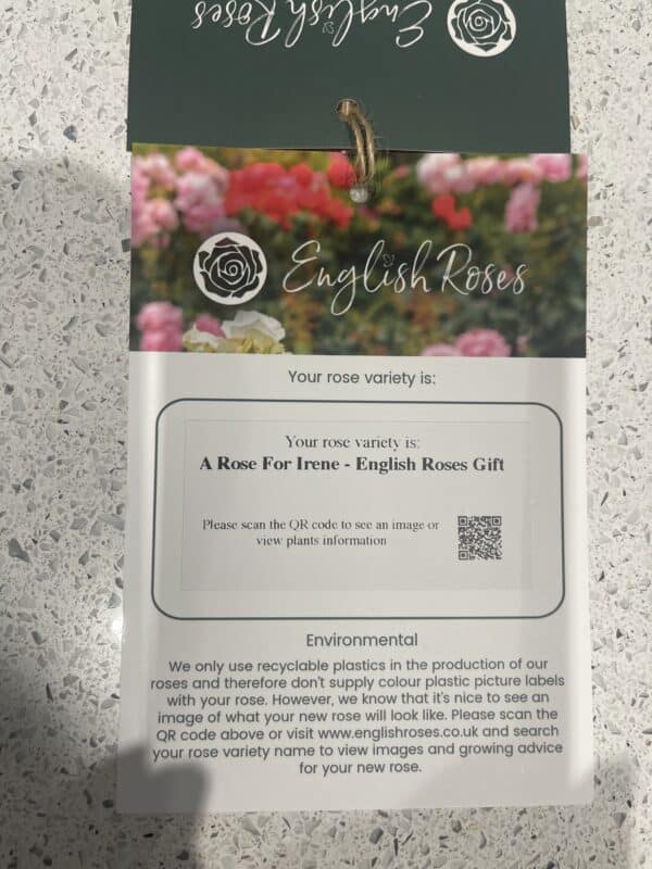 A Rose For Irene - English Roses Gift