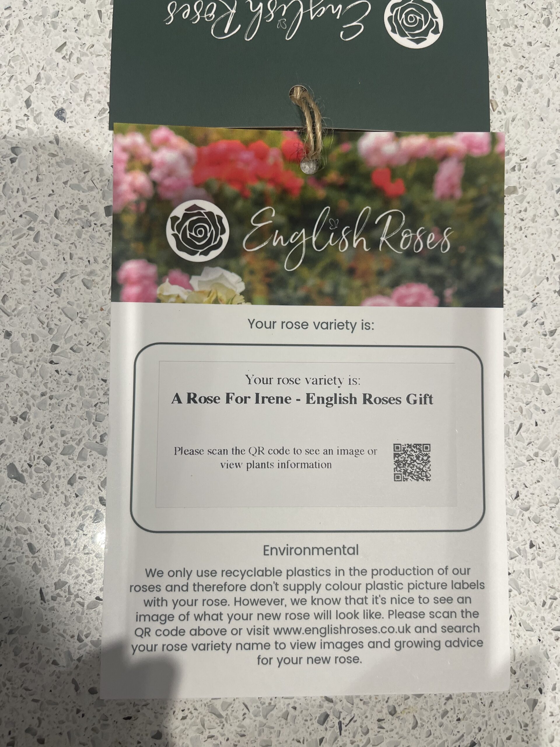 A Rose For Irene - English Roses Gift
