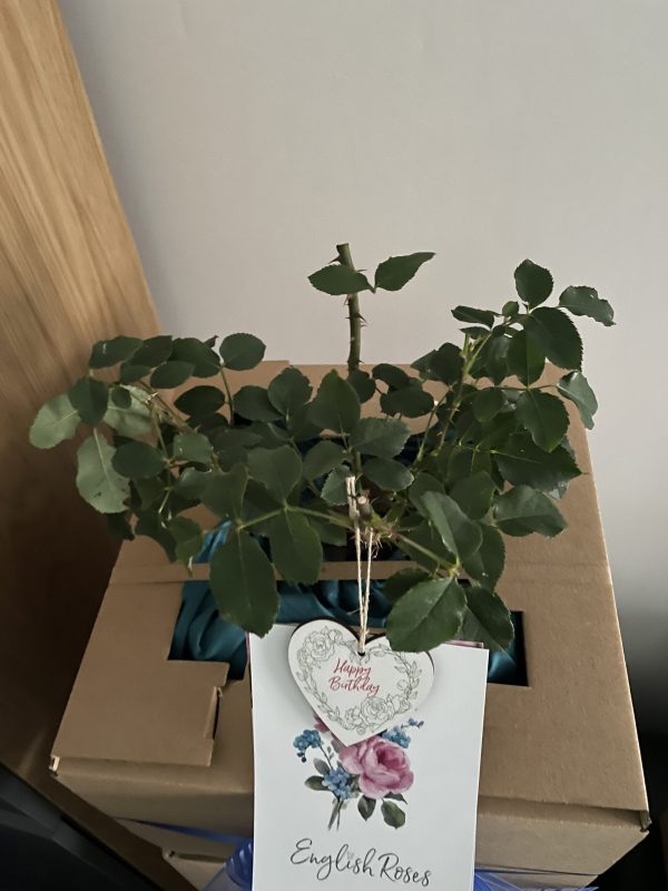 Happy 90th Birthday Gift