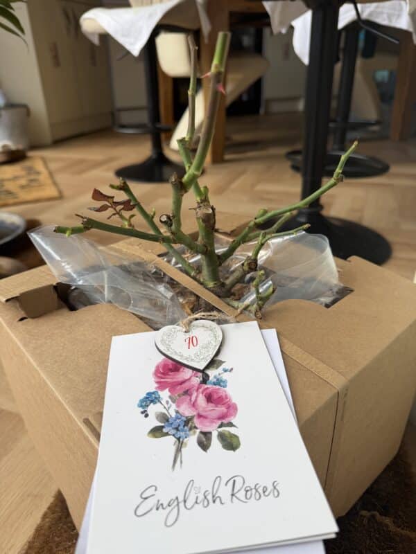 Fab @ 70 Rose - 70th Birthday Ideas