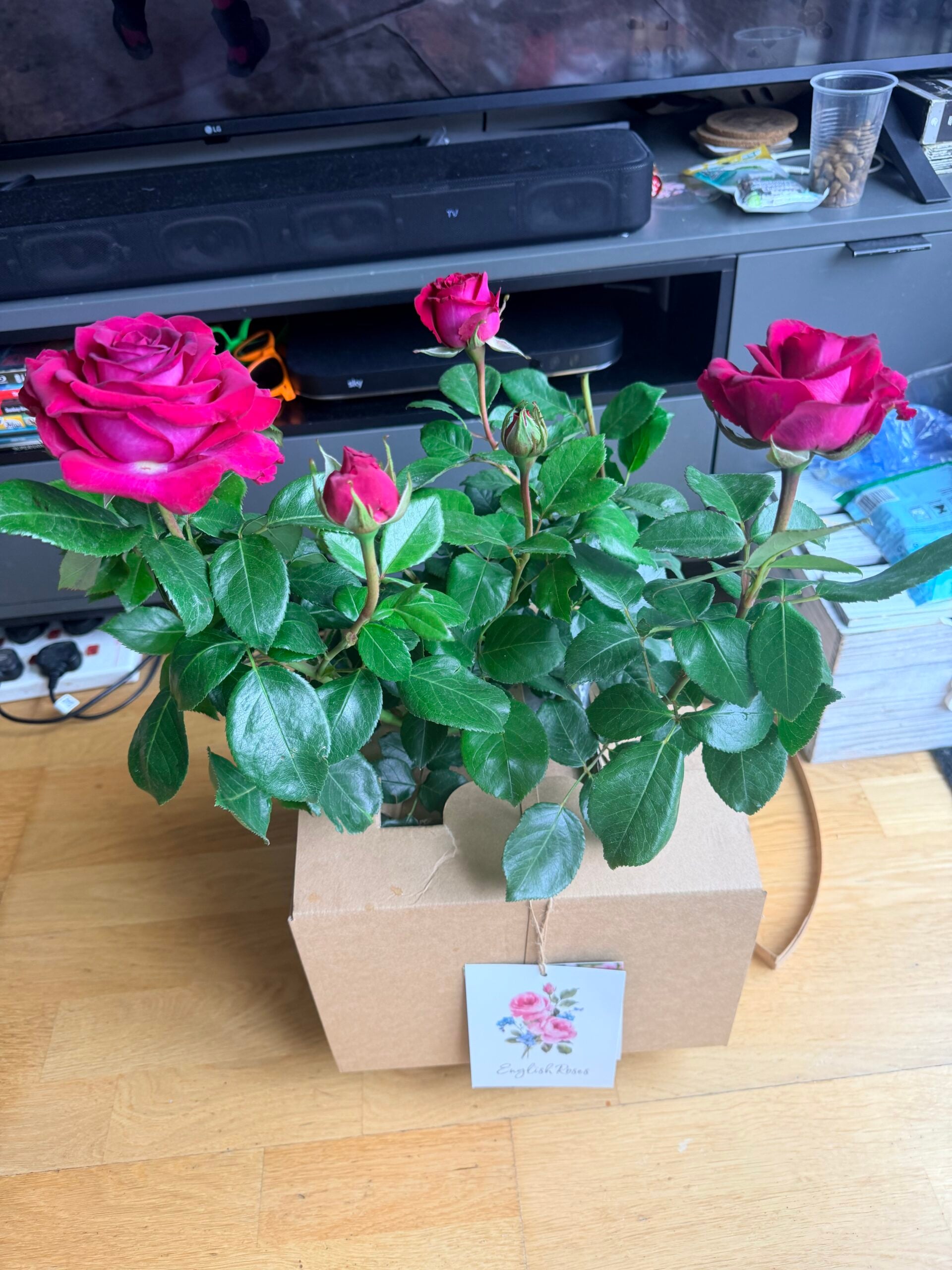 A Rose For Belle - English Roses Gift