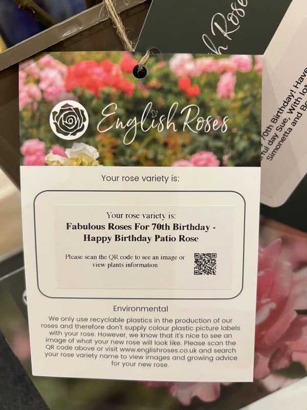 Fabulous Roses For 70th Birthday - Happy Birthday Patio Rose