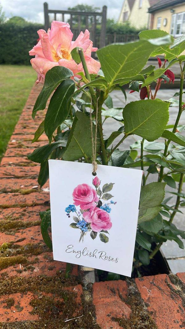 Diamond 60th Anniversary Scented Rose Gift