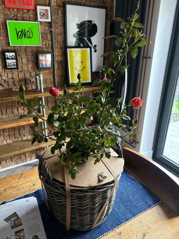 Remember Me Rose - Memory Gift