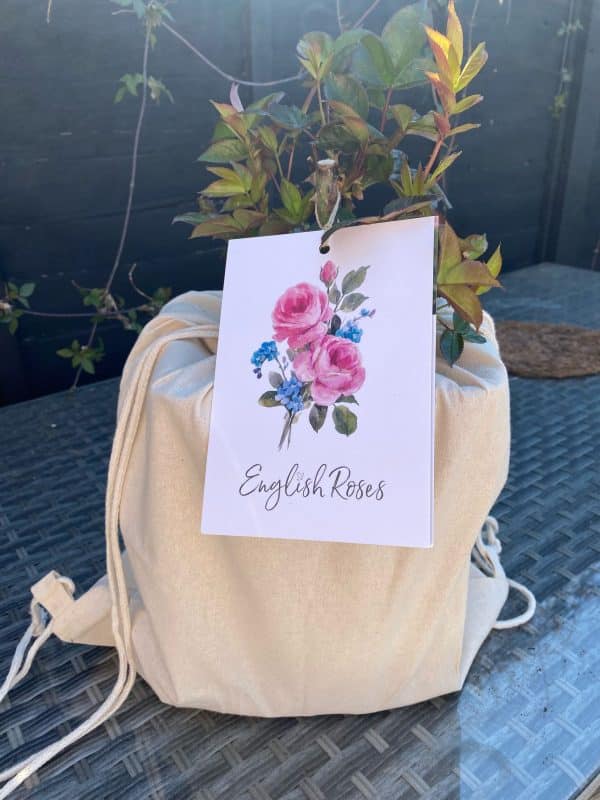 Pink Hit Rose - Loss of Mum Gift