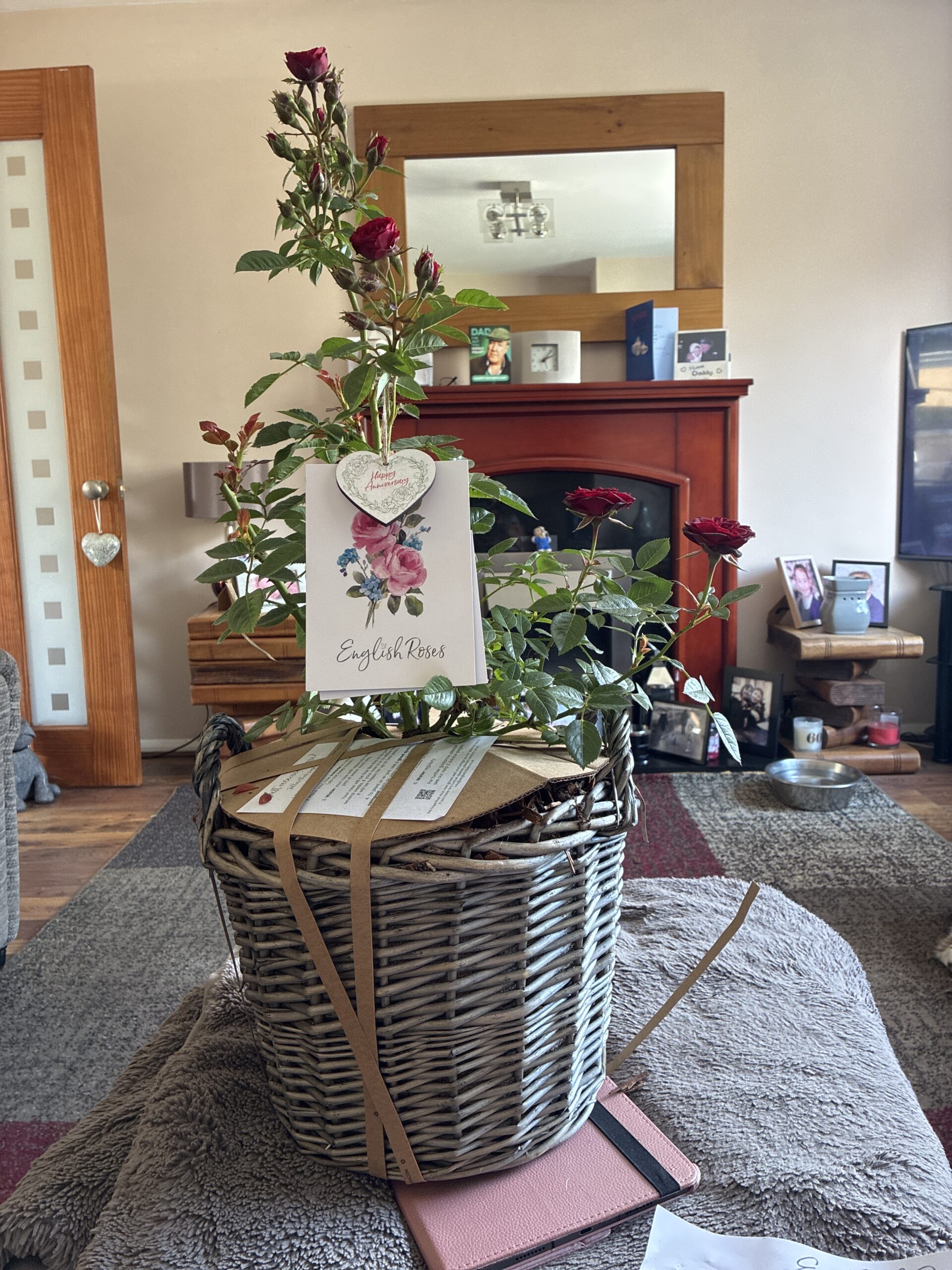 Large Willow Basket - Gift Plant Your Rose